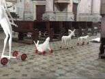 A Casale "Anima-Li"