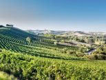 Arrivederci ad IT.A.CA' Monferrato 2018