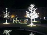Al via il Natale casalese con l’accensione delle  luci e delle installazioni