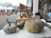 Mercatino Antiquariato di Casale 11 ottobre