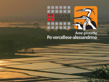 Sabato 14 e domenica 15 ottobre: un week end ricco di appuntamenti nelle Aree protette del Po vercellese-alessandrino