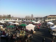 Mercatino dell'Antiquariato a Casale Monferrato, domenica 13 marzo